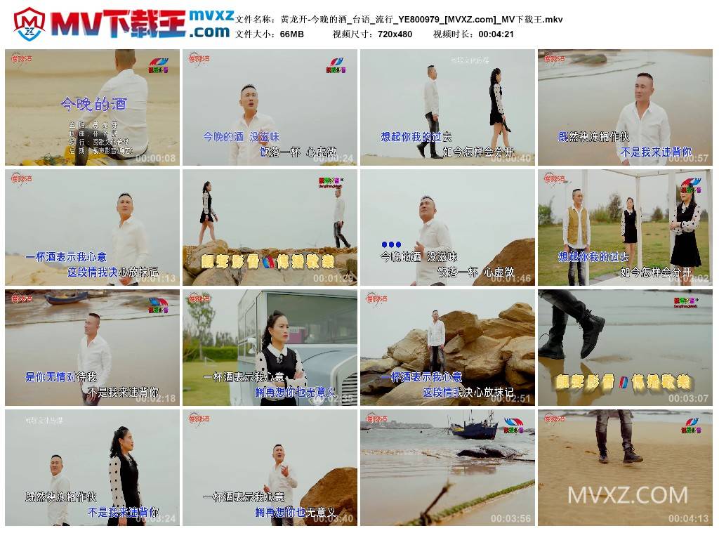 黃龙开-今晚的酒_台语_流行_YE800979